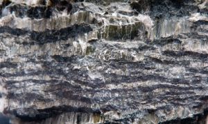 Asbestos: lawyers and doctor guilty