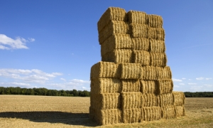 City slickers advise on agriculture deal
