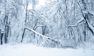Duke Energy: frosty times