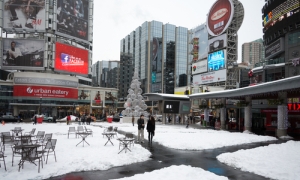 Ontario: Appeal court hears racial profiling claims